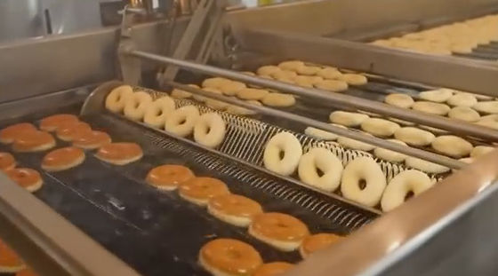kopen De hoge Productielijn van de Automatiseringsdoughnut met Modulair Deeg Afdekkend Systeem online vervaardiging