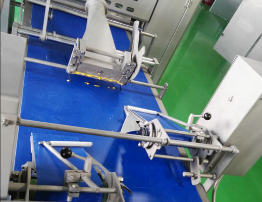 kopen Gevormde Diverse het Broodjesmachine van de Vullersworst met 2 het Bevriezen Tunnels voor Gevuld Gebakje online manufacture